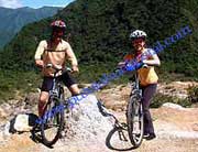 Biking Tours